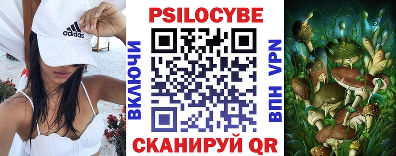 где найти наркотики  Агрыз  ссылка на мегу ONION  Псилоцибиновые грибы мухоморы 